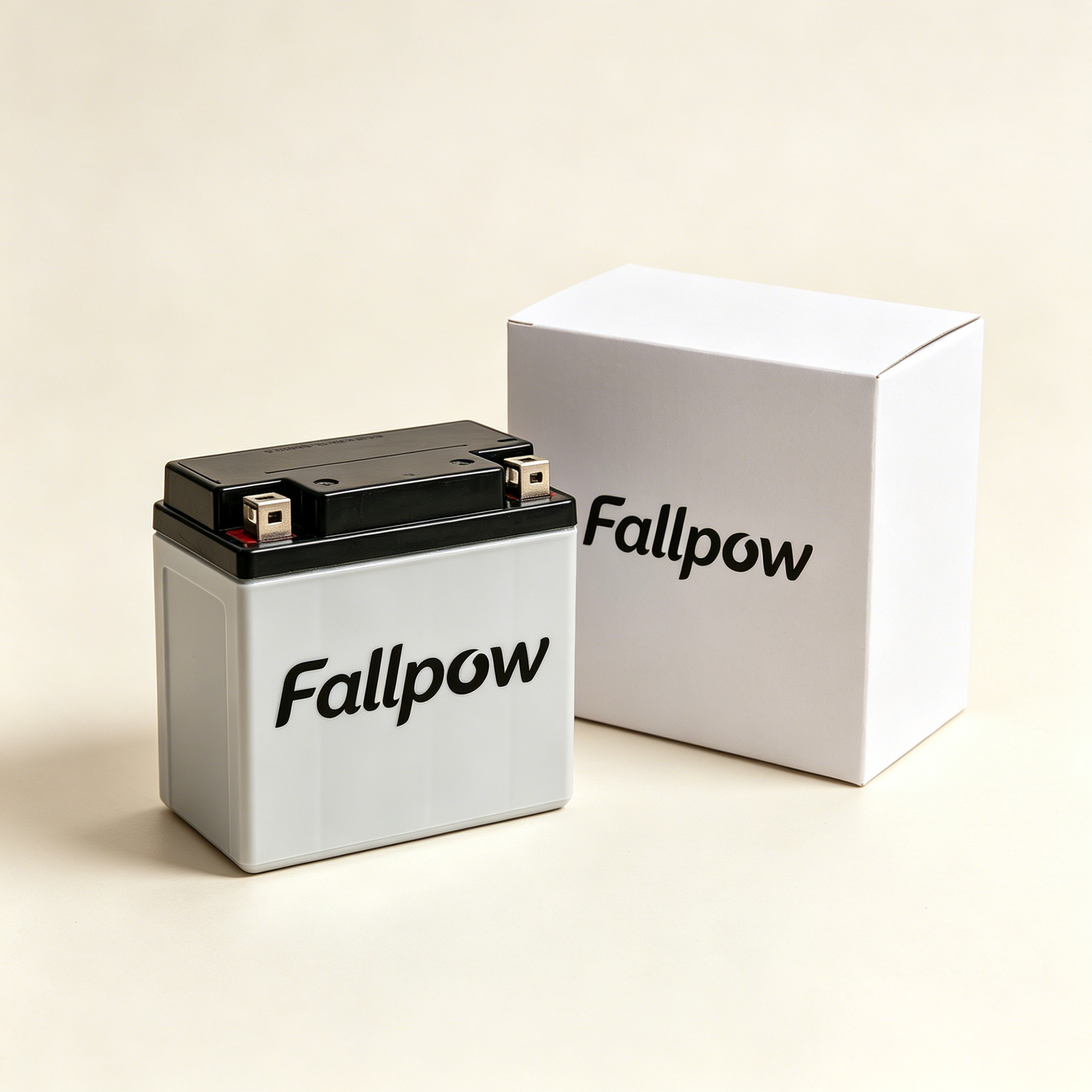 Fallpow Maintenance-Free Sealed Lead Acid Battery, High Performance Rechargeable Storage Battery for Motorcycles, Lawn Equipment & Off-Grid Solar Power