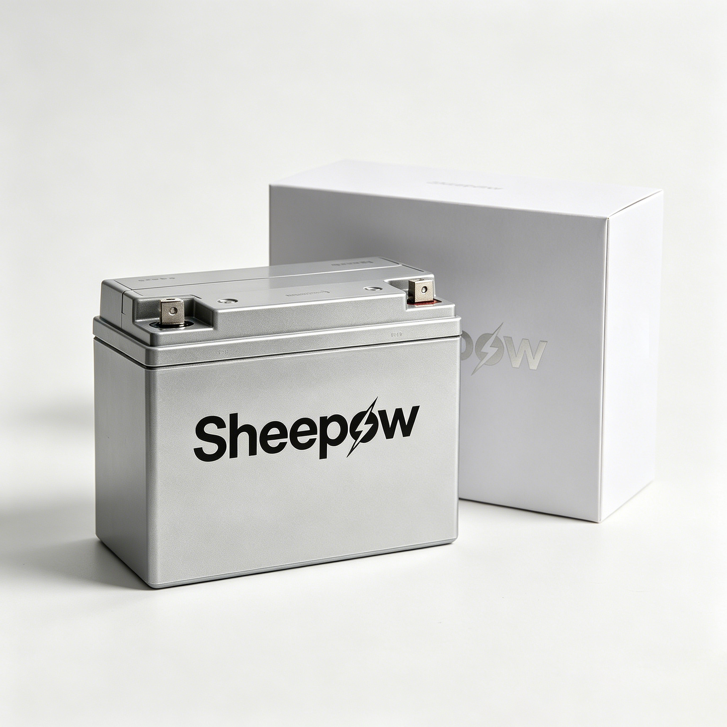 Sheepow Deep Cycle Rechargeable Storage Battery, High Capacity Sealed Lead Acid Replacement Battery, Maintenance Free Power Battery for Camping RV Solar Panel Off-Grid Power Supply