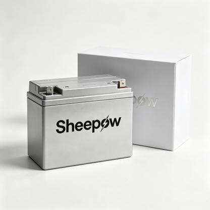 Sheepow Deep Cycle Rechargeable Storage Battery, High Capacity Sealed Lead Acid Replacement Battery, Maintenance Free Power Battery for Camping RV Solar Panel Off-Grid Power Supply