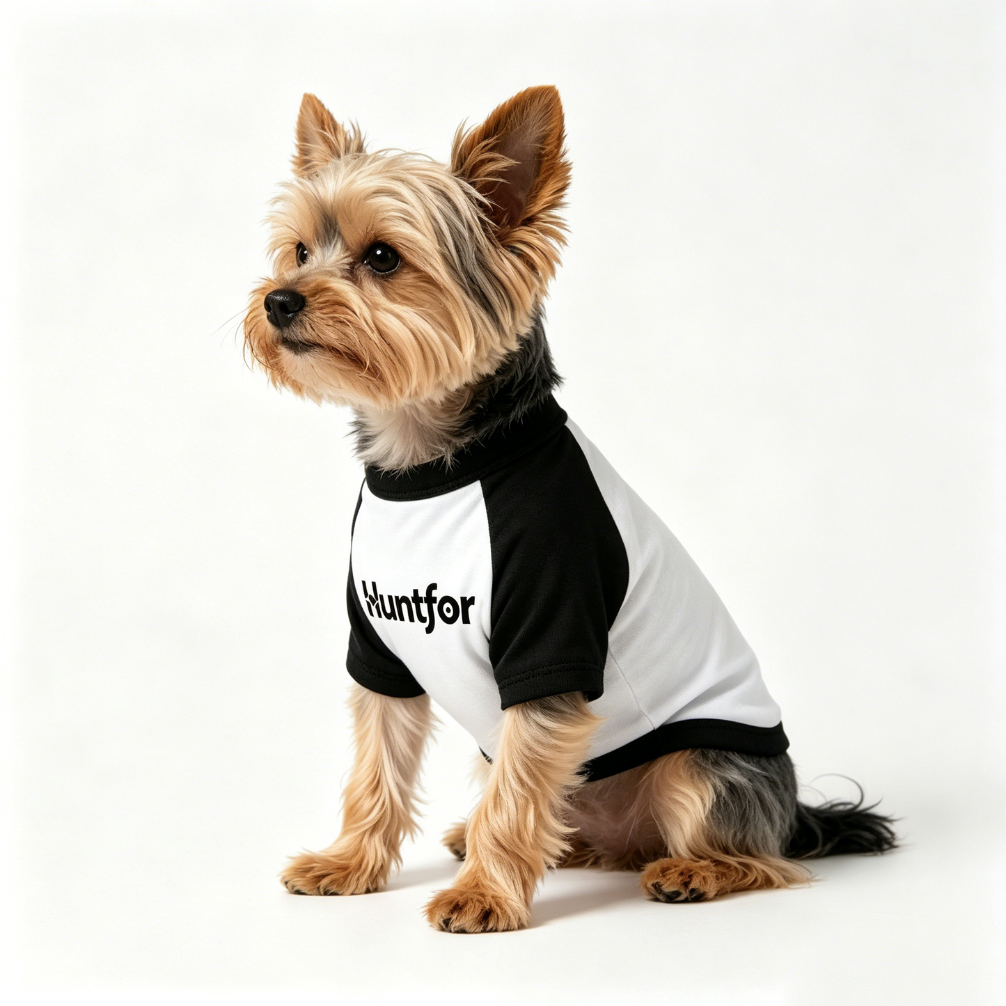 Huntfor Pet clothing, Soft Breathable Cotton Pet Clothes, Classic Black White Pet Tee Shirts for Small Medium Puppy Dogs, Daily Walking Holiday Party Pet Outfit