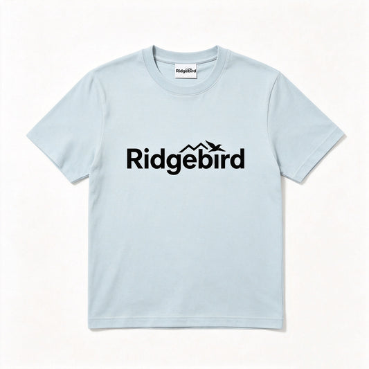 Ridgebird Light Blue Crew Neck Short Sleeve T-Shirt for Men, Soft 90% Cotton Relaxed Fit Minimalist Outdoor Casual Basic Daily Top