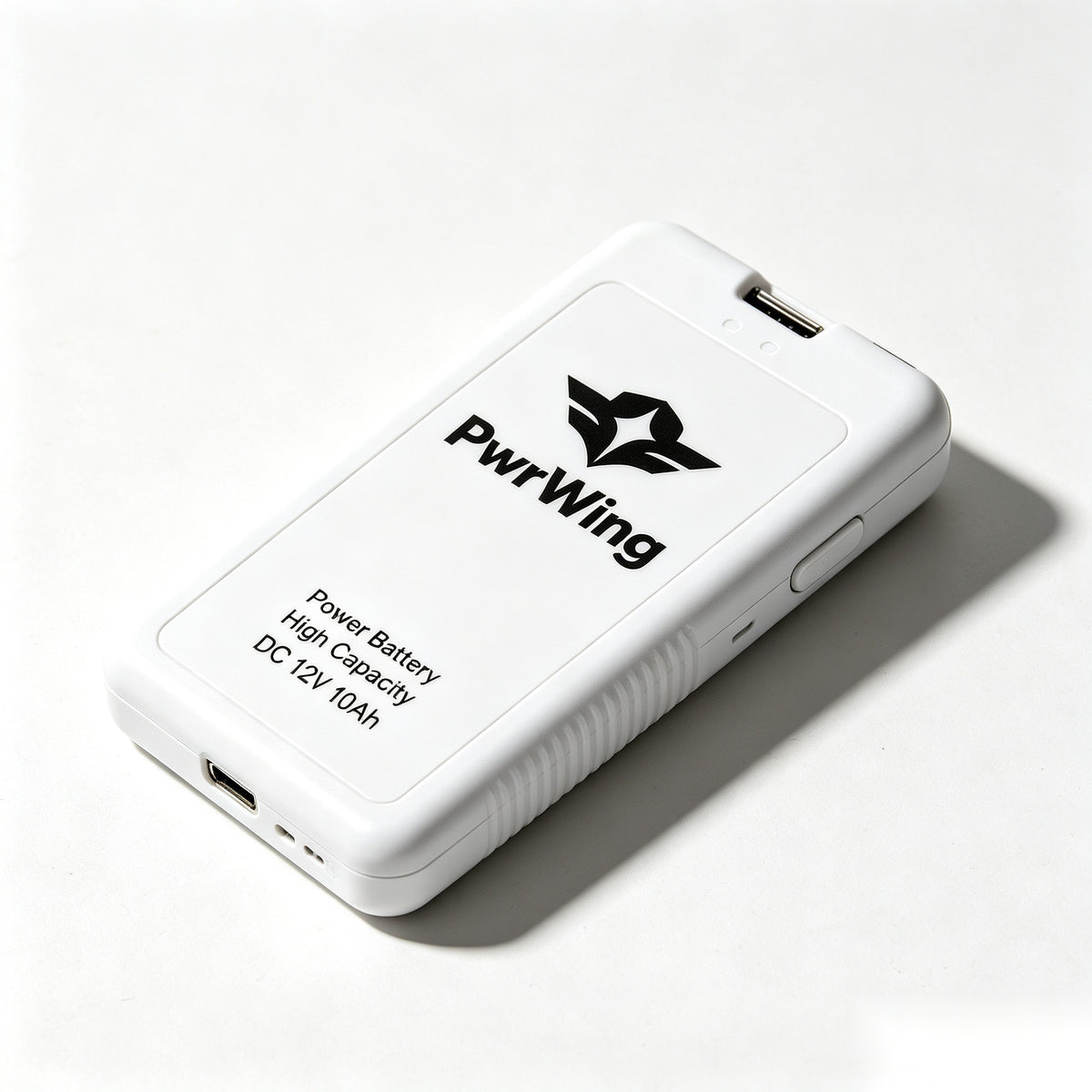 PwrWing 12V 10Ah High Capacity Rechargeable Power Battery, Portable DC Backup Power Supply for Outdoor Home Use