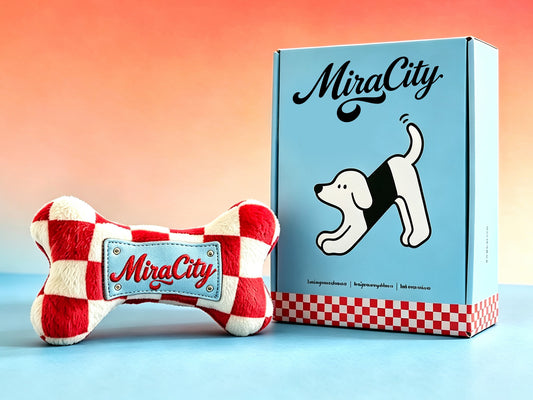 MiraCity Plush Bone Dog Toy, Red White Checkered Squeaky Dog Toy, Cute Stuffed Bone Chew Toy for Puppy Small Medium Dogs, Gift Box Packaging
