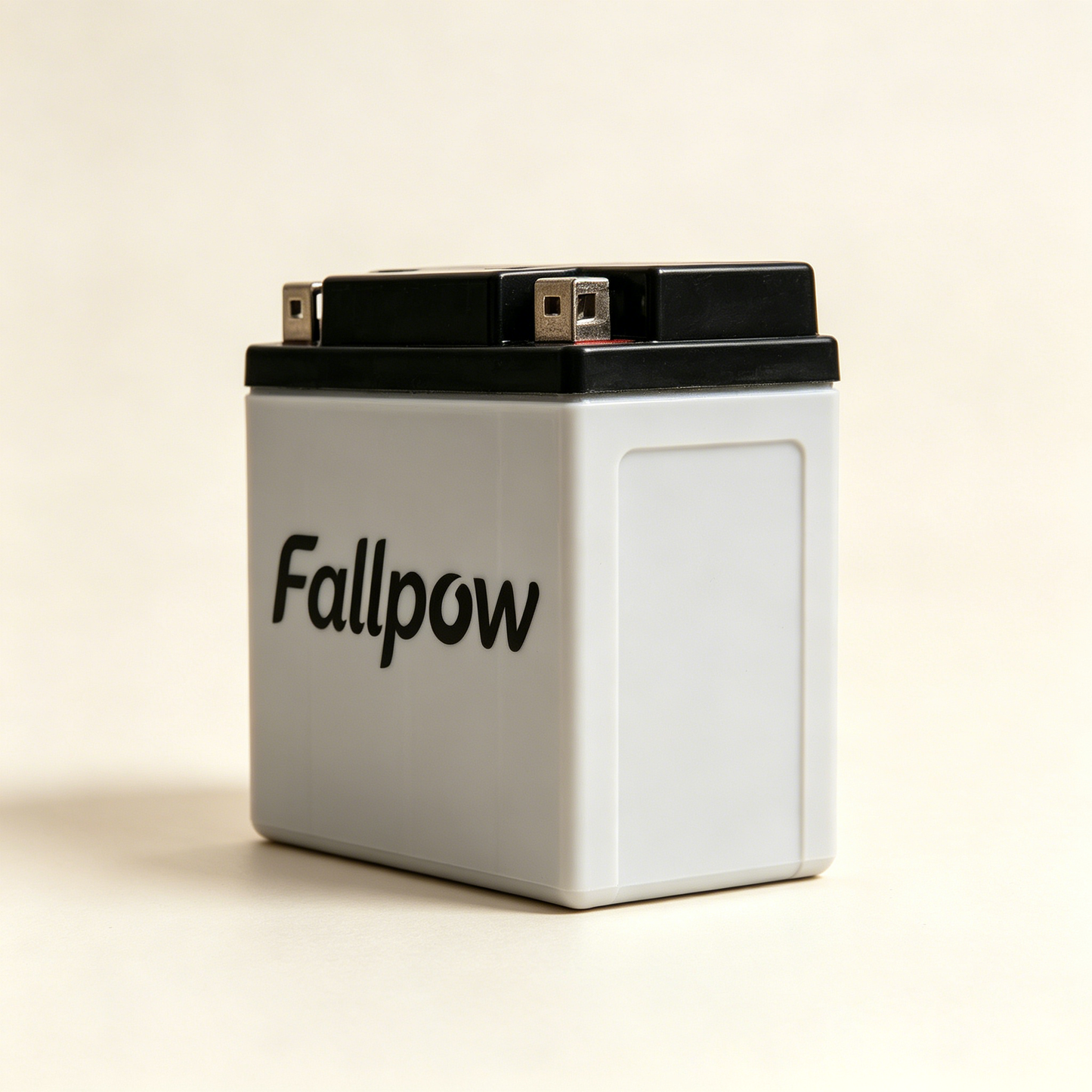 Fallpow Maintenance-Free Sealed Lead Acid Battery, High Performance Rechargeable Storage Battery for Motorcycles, Lawn Equipment & Off-Grid Solar Power