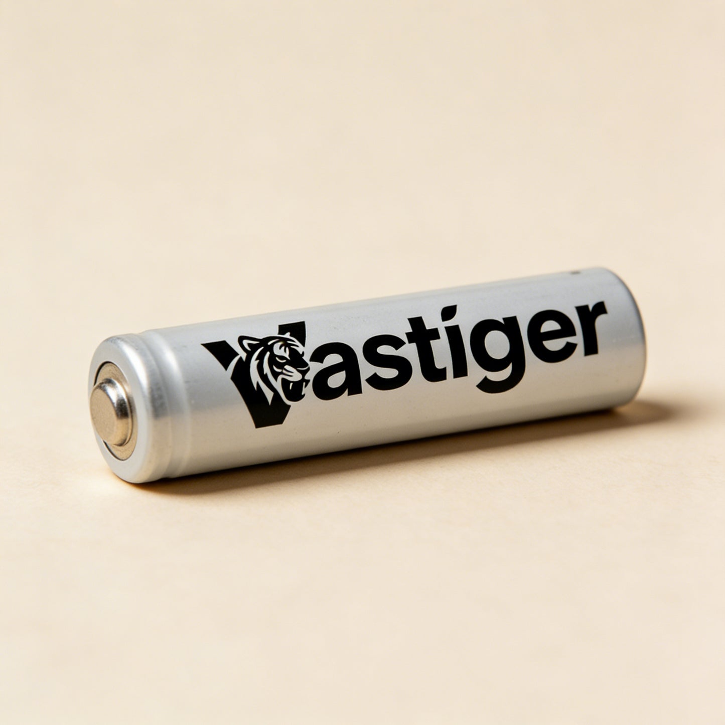 【Vastiger Alkaline Batteries】—— Reliable Power for Daily & Professional Use