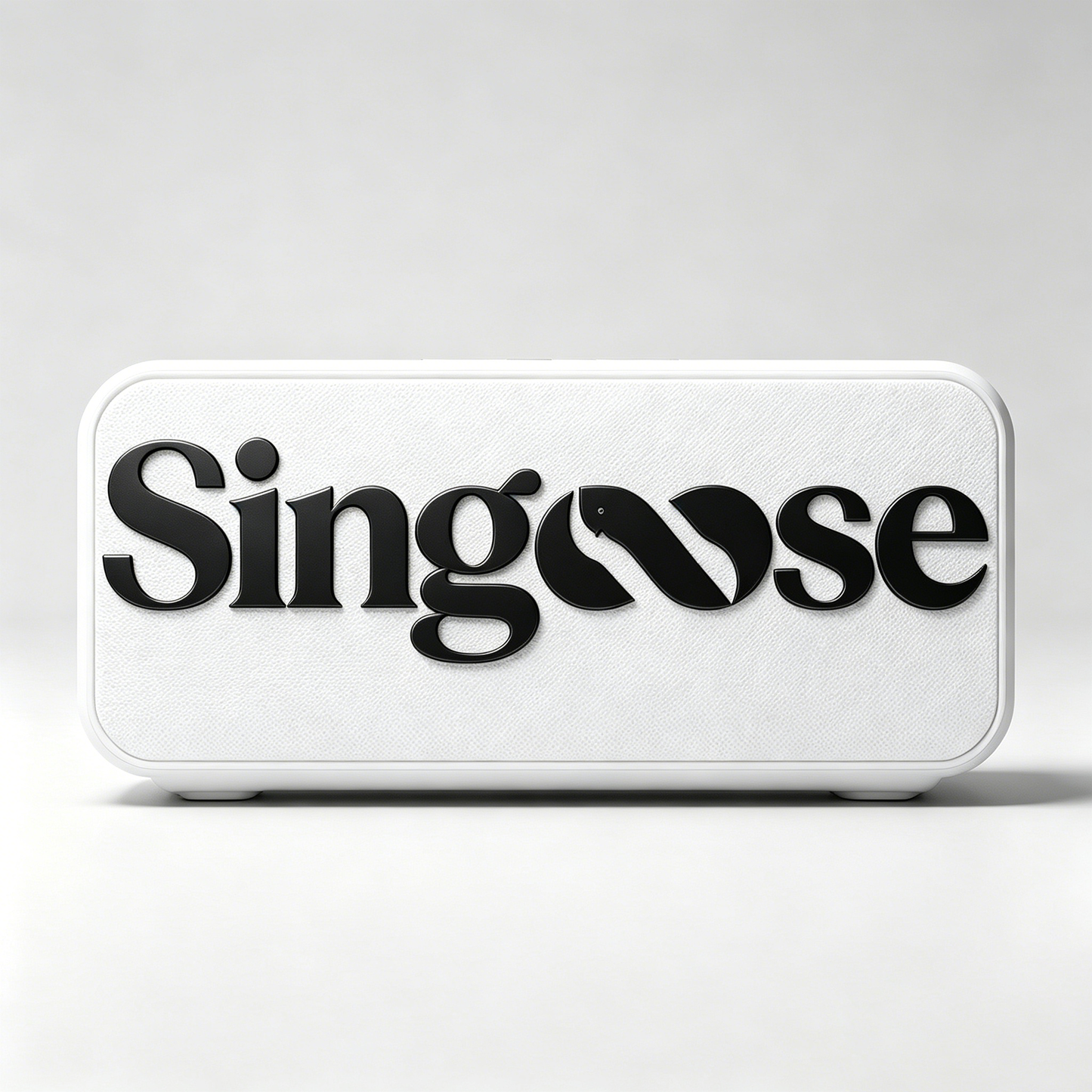 【Singoose Loud speakers】—— Stylish Audio Companion for Daily Entertainment
