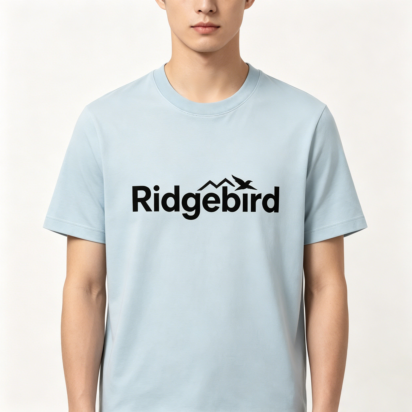 Ridgebird Light Blue Crew Neck Short Sleeve T-Shirt for Men, Soft 90% Cotton Relaxed Fit Minimalist Outdoor Casual Basic Daily Top