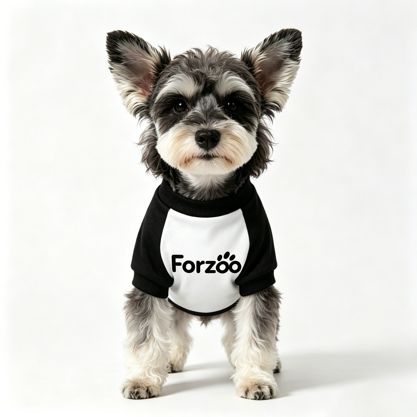 【Forzoo Two-Tone Pet T-Shirt】—— Comfort & Style for Your Furry Friend
