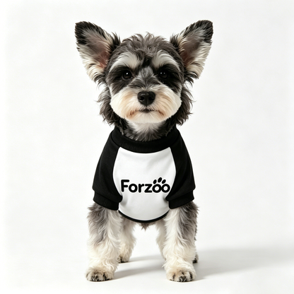 【Forzoo Two-Tone Pet T-Shirt】—— Comfort & Style for Your Furry Friend