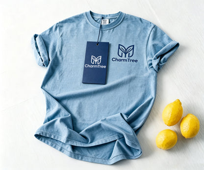 CharmTree Women's Crew‑Neck Short‑Sleeve T‑Shirt, Casual Relaxed‑Fit Everyday Tee, Soft Lightweight Dusty‑Blue Summer Top for Daily Travel Workout