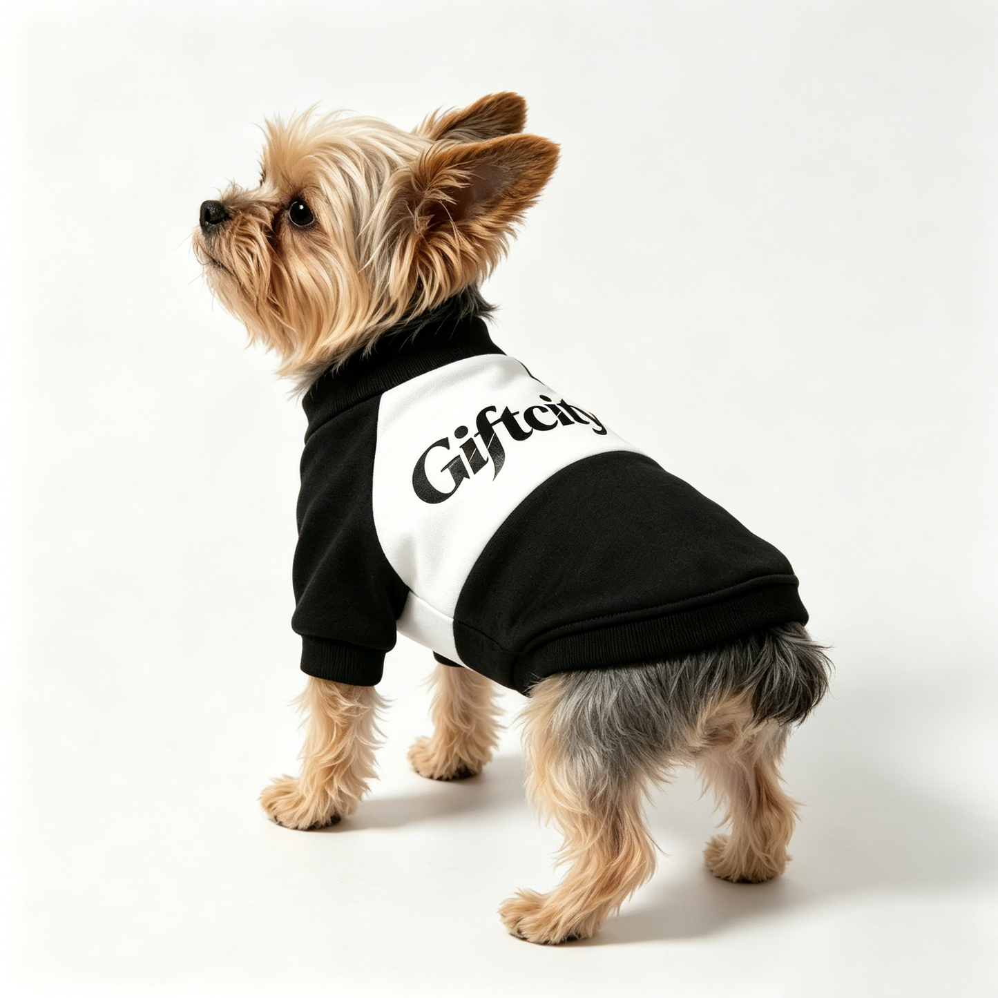 Giftcity Dog Sweatshirt - Soft Cotton Pullover Pet Clothes, Warm Cozy Dog Outfit for Small Dogs, Black & White Stylish Dog Shirt for Fall/Winter