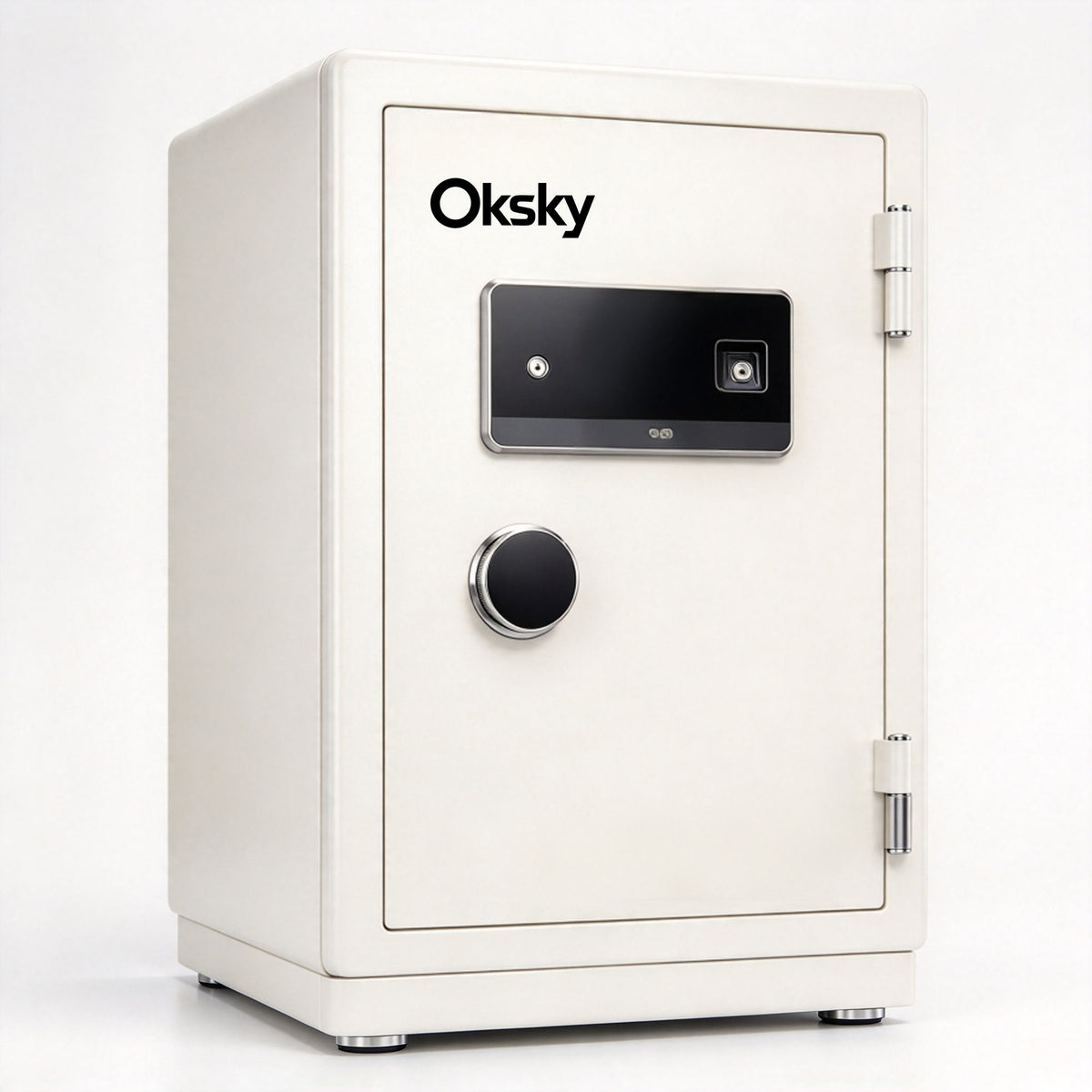 Oksky Safe Box, Home Digital Security Safe with Fingerprint & Keypad L ...