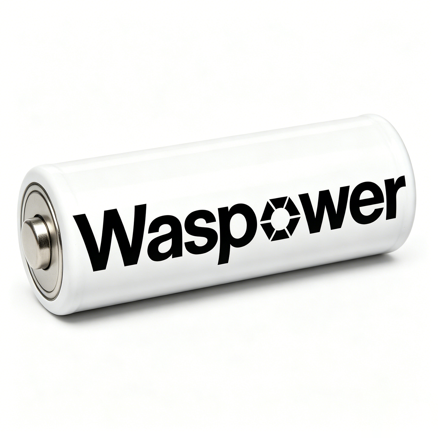Waspower High-Performance Alkaline Batteries, Long-Lasting All-Purpose Batteries for Household & Electronic Devices, Leak-Proof