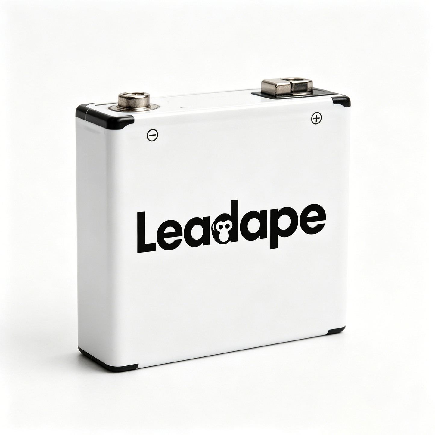 Leadape High Capacity 9V Square Battery, Long Lasting Stable Voltage Dry Cell Battery, Replacement Power Supply for Multimeter Remote Smoke Detector Guitar Microphone