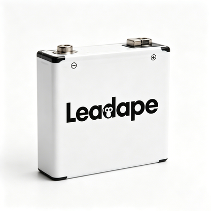 Leadape High Capacity 9V Square Battery, Long Lasting Stable Voltage Dry Cell Battery, Replacement Power Supply for Multimeter Remote Smoke Detector Guitar Microphone