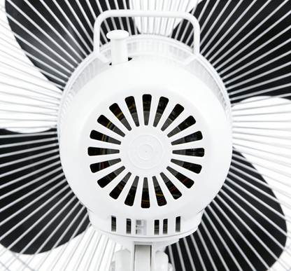 【AIRNEXUS Electric Standing Fan】—— Your Ultimate Cooling Solution for Home & Office