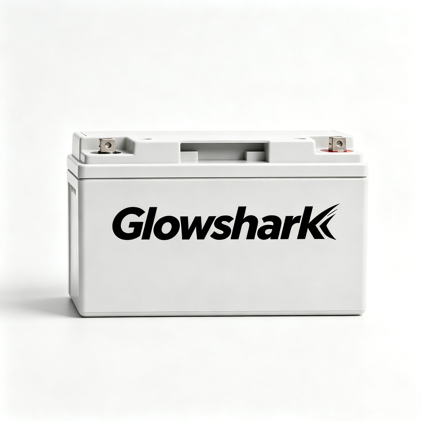 Glowshark Maintenance Free Sealed Lead Acid SLA Battery, Long Cycle Life 12V Recharge Storage Battery for RV Camping Solar Power System Alarm Security