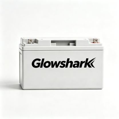 Glowshark Maintenance Free Sealed Lead Acid SLA Battery, Long Cycle Life 12V Recharge Storage Battery for RV Camping Solar Power System Alarm Security