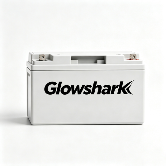 Glowshark Maintenance Free Sealed Lead Acid SLA Battery, Long Cycle Life 12V Recharge Storage Battery for RV Camping Solar Power System Alarm Security