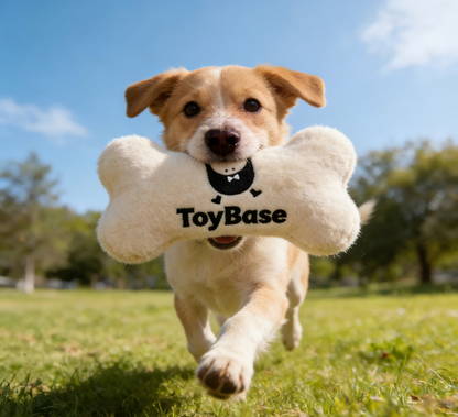 ToyBase Plush Squeaky Dog Bone Toy, Soft Stuffed Chew Toy for Puppies & Small/Medium Dogs, Interactive Fetch Toy for Teething, Boredom Relief & Indoor/Outdoor Play