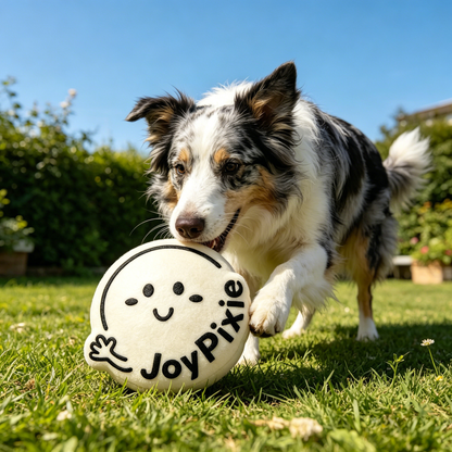 JoyPixie Cute Cloud Squeaky Dog Toy, Durable Interactive Plush Chew Toy for Small & Medium Dogs, Puppy Teething Toy for Fetch, Tug & Boredom Relief