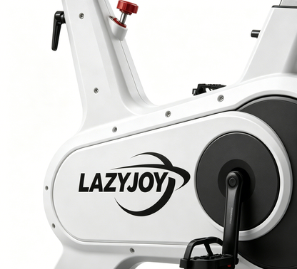 LAZYJOY Magnetic Stationary Exercise Bike, Silent Indoor Cycling Spin Bike with LCD Monitor, Adjustable Seat & Resistance, Home Cardio Workout Fitness Bicycle for Gym Office