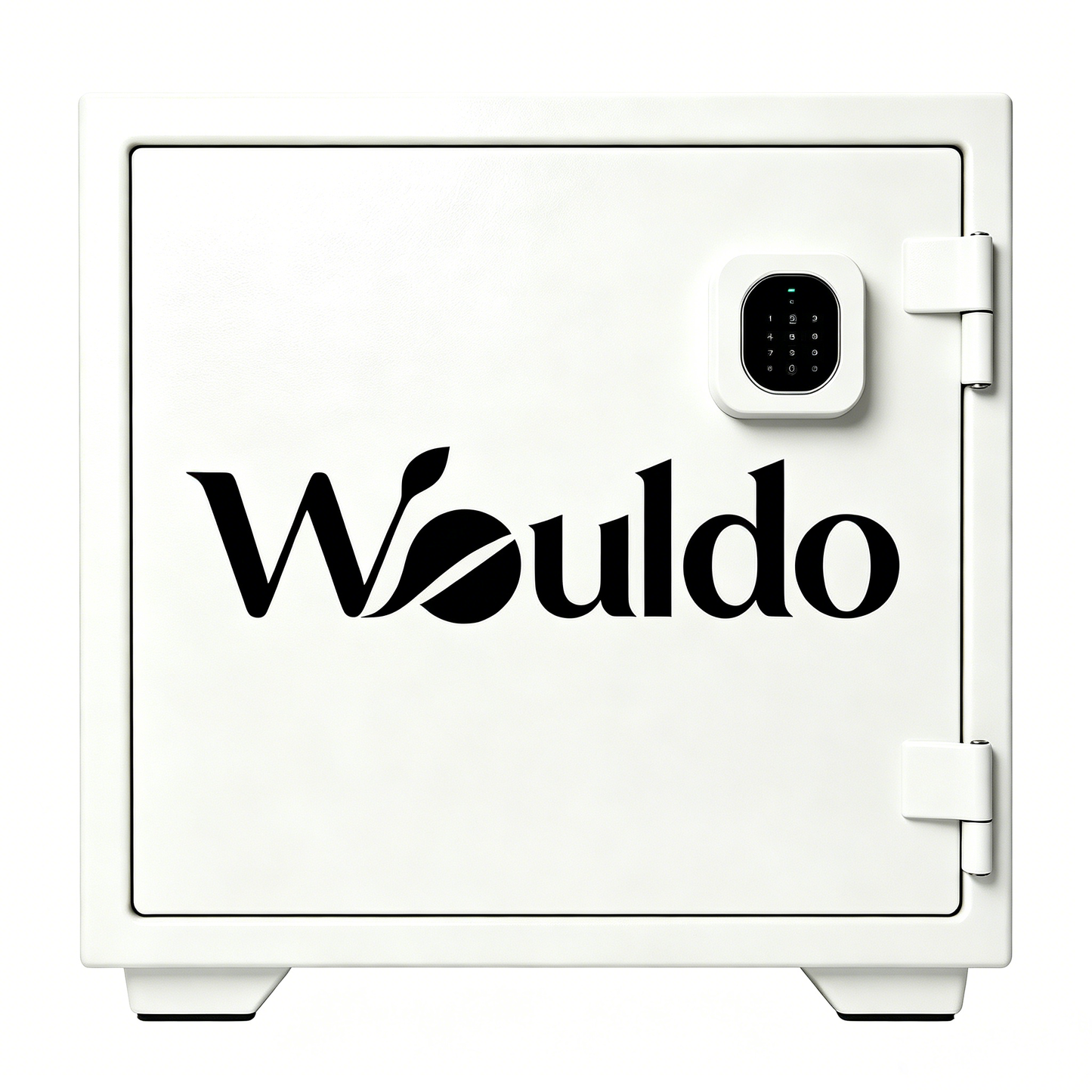 Wouldo White Digital Keypad Home Safe Box, Heavy Duty Steel Security Cabinet, Small Fireproof Anti-Theft Safe for Cash Jewelry Documents Office Bedroom Storage