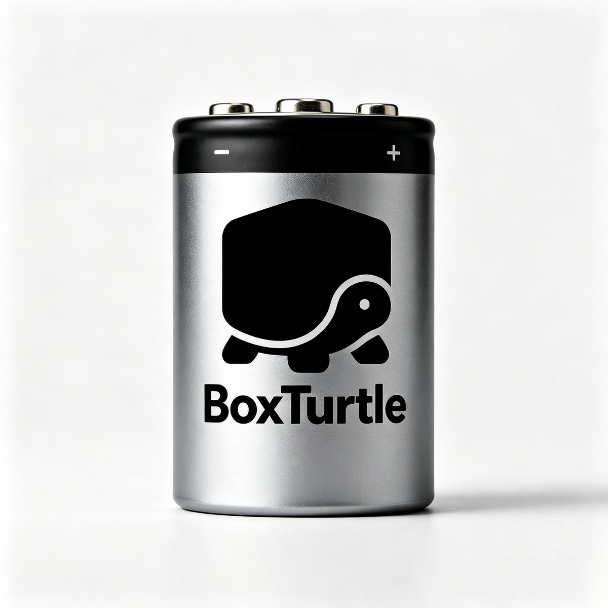 BoxTurtle D‑Cell Alkaline Batteries, Long‑Lasting High Performance Replacement Battery, Leak‑Proof Design for Household & Electronic Devices
