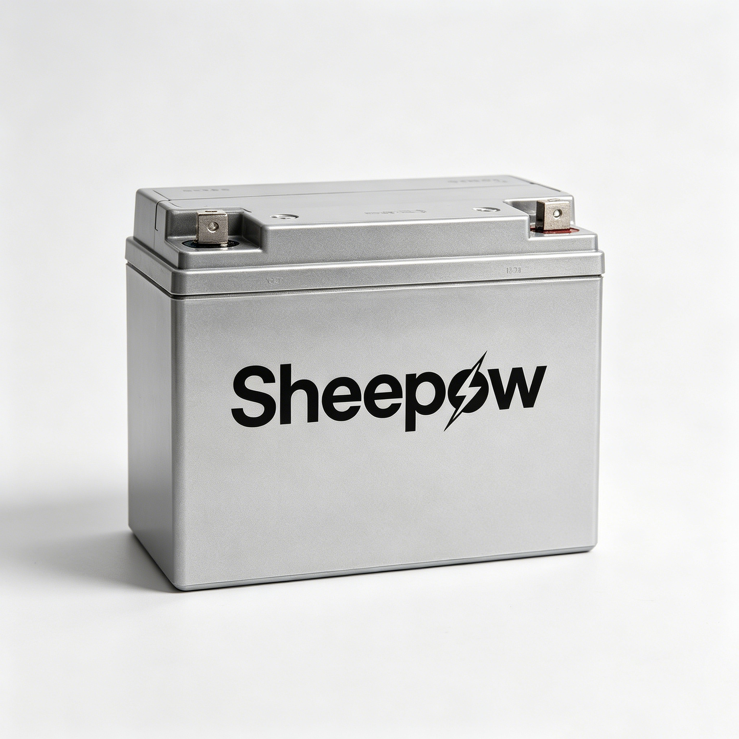 Sheepow Deep Cycle Rechargeable Storage Battery, High Capacity Sealed Lead Acid Replacement Battery, Maintenance Free Power Battery for Camping RV Solar Panel Off-Grid Power Supply