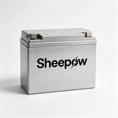 Sheepow Deep Cycle Rechargeable Storage Battery, High Capacity Sealed Lead Acid Replacement Battery, Maintenance Free Power Battery for Camping RV Solar Panel Off-Grid Power Supply