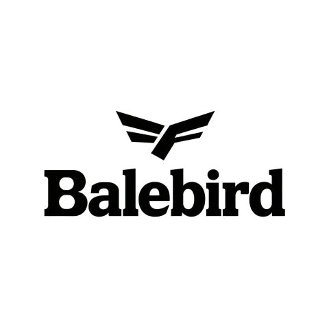 Balebird Men's Crew-Neck Short-Sleeve T-Shirt, Loose-Fit Solid-Color Basic Tee, Casual Breathable Cotton T-Shirts for Men Daily Outdoor Workout