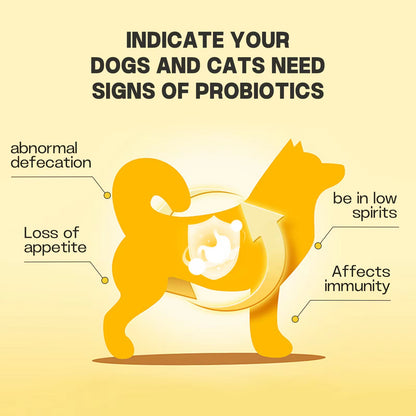 【Drfate Pet Probiotic Powder】—— Guardian of Digestive & Immune Health for Pets