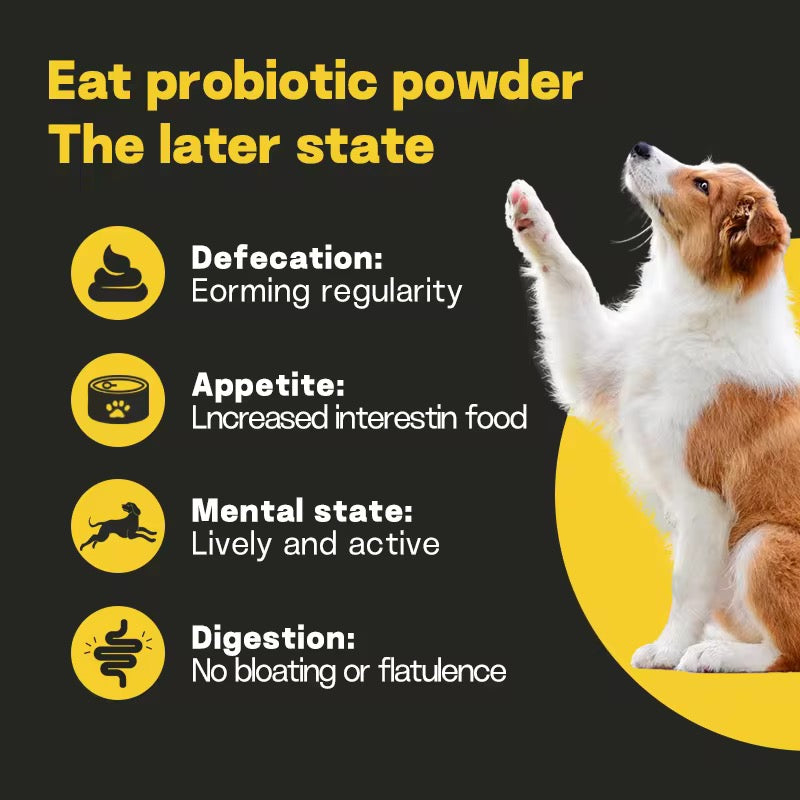 【Drfate Pet Probiotic Powder】—— Guardian of Digestive & Immune Health for Pets