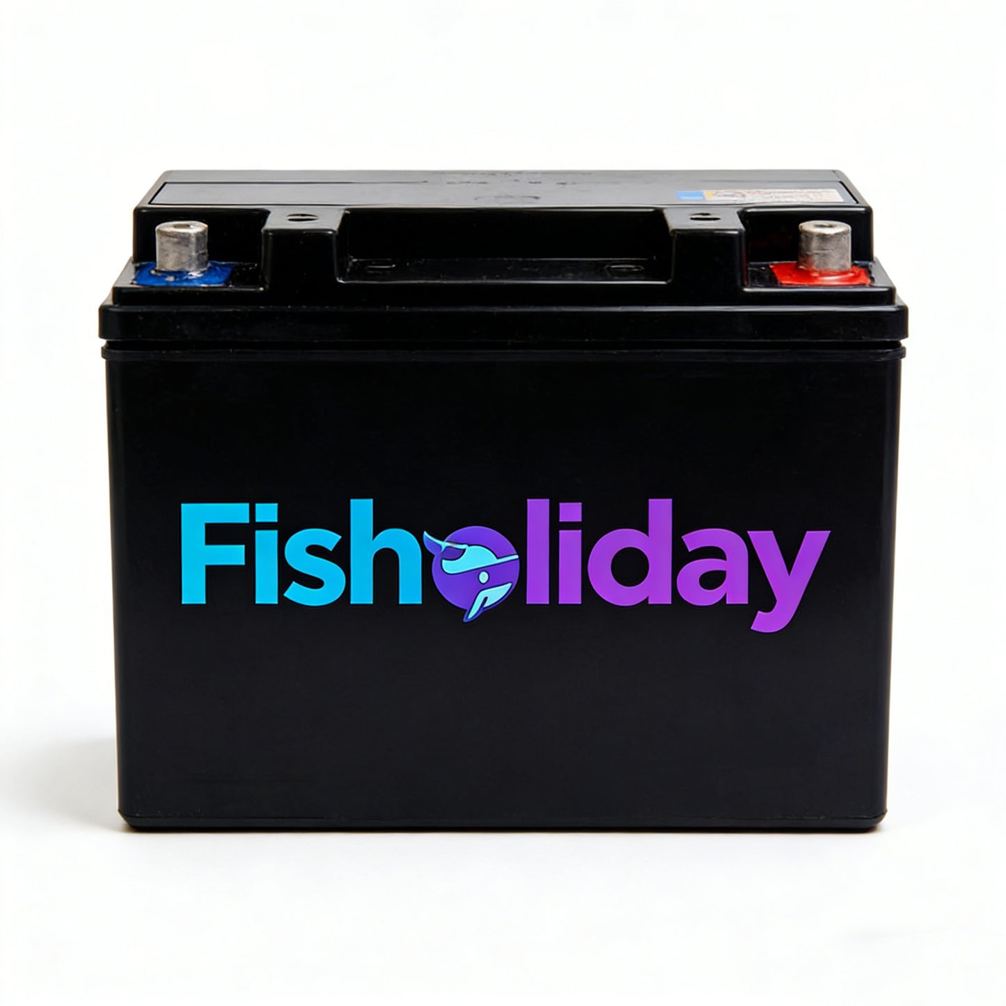 【Fisholiday Rechargeable Sealed Lead-Acid Battery】—— Reliable Power Source for Your Needs