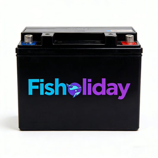 【Fisholiday Rechargeable Sealed Lead-Acid Battery】—— Reliable Power Source for Your Needs