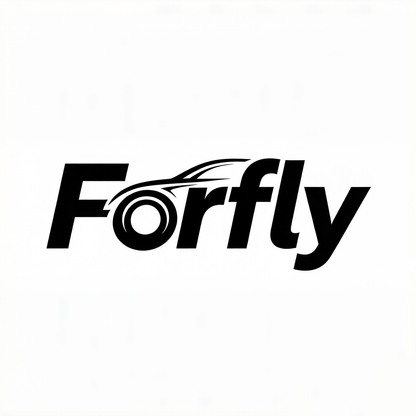 Forfly Folding Manual Wheelchair, Lightweight Steel Transport Wheelchair with Swing-Away Footrests, Portable Self-Propelled Wheel Chair for Elderly & Disabled, Black
