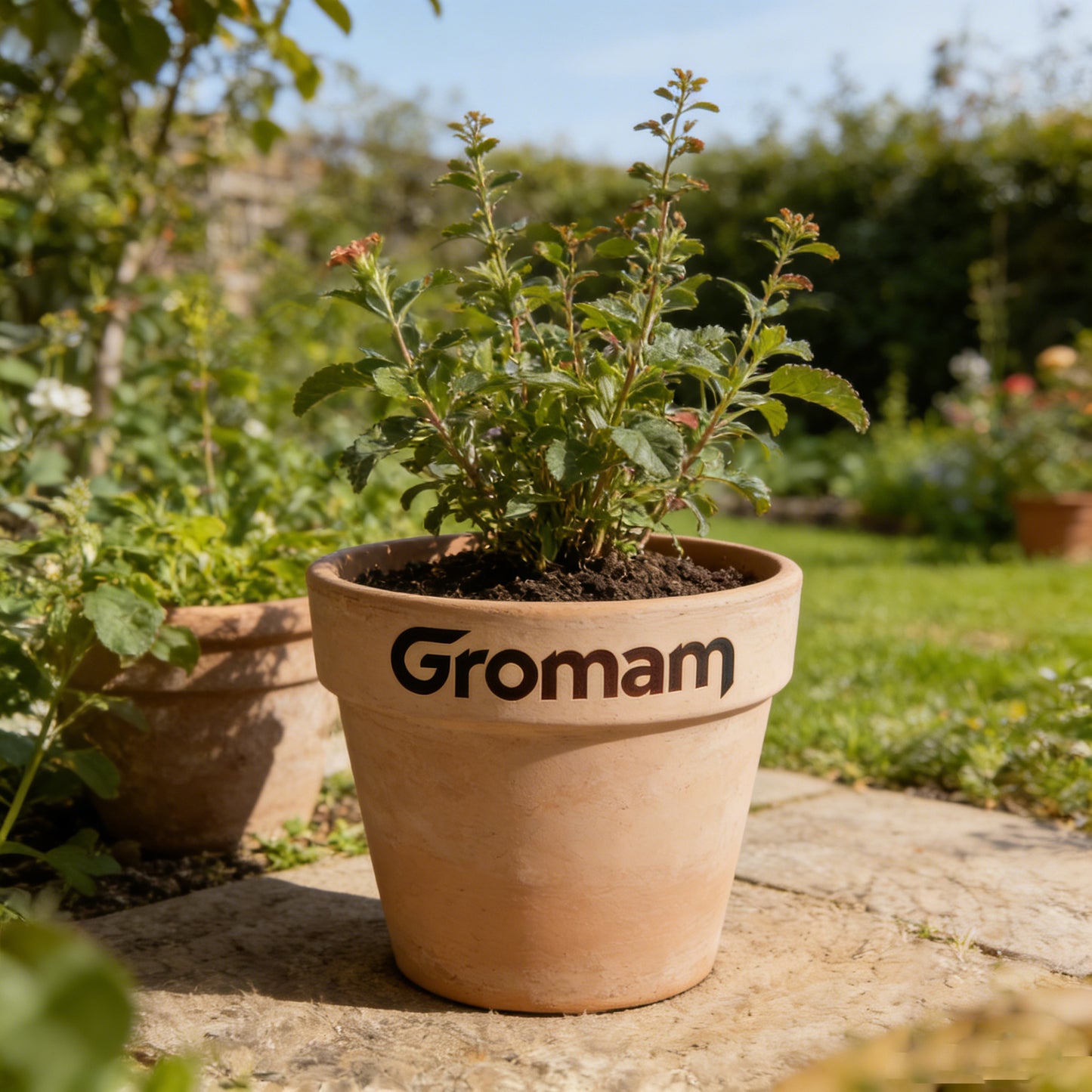 Gromam Premium Terracotta Pot - Elegant Natural Clay Planter with Branded Design - Perfect Housewarming Gift for Plant Lovers, Garden Enthusiasts