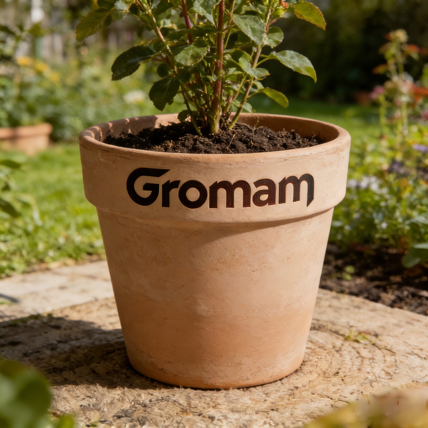 Gromam Premium Terracotta Pot - Elegant Natural Clay Planter with Branded Design - Perfect Housewarming Gift for Plant Lovers, Garden Enthusiasts
