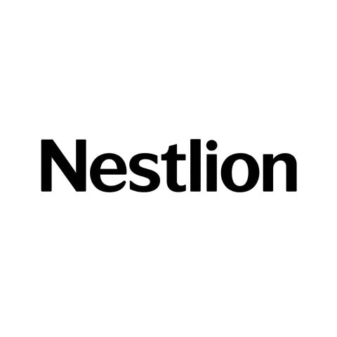 Nestlion Decorative Throw Pillow, Soft Breathable Rectangle Accent Pillow, Comfort Cushion for Sofa Bedroom Living Room Home Decor, Vacuum Compressed Shipment
