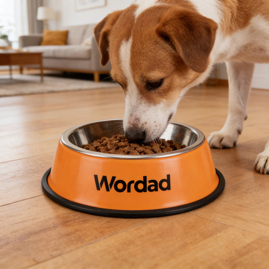 【Wordad Pet Feeding Dish】—— Safe & Stable Choice for Pet Dining