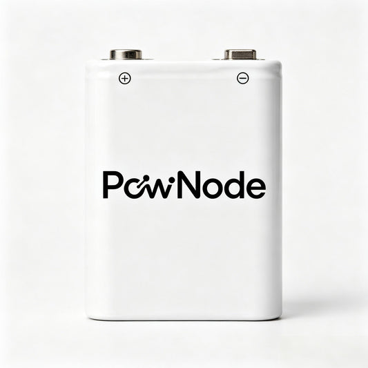 PowNode High Capacity Square Dry Battery, Stable Constant Voltage Long Lasting Battery, Replacement Power for Multimeter Smoke Detector Guitar Microphone Remote Control