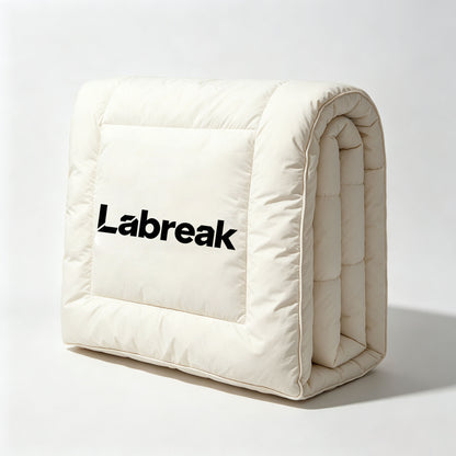 Labreak All Season Quilt Bed Comforter, Soft Breathable Stitched Down Alternative Bed Quilt, Lightweight Duvet Insert for Bedroom, Vacuum Packed