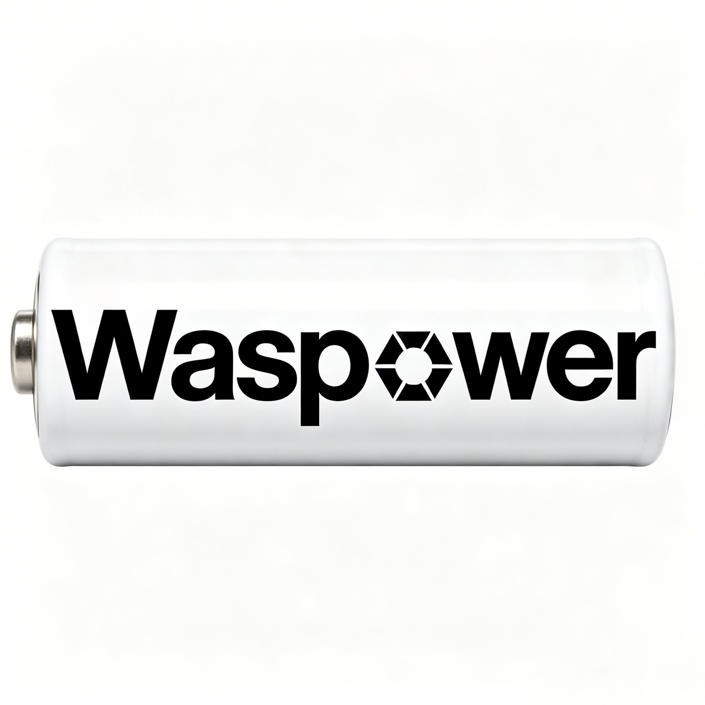 Waspower High-Performance Alkaline Batteries, Long-Lasting All-Purpose Batteries for Household & Electronic Devices, Leak-Proof