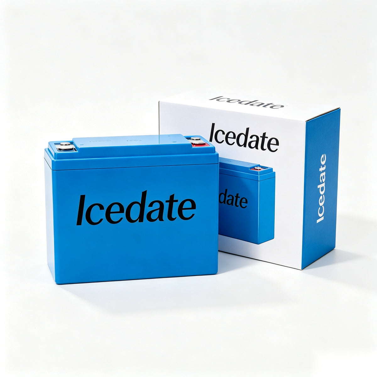 Icedate Rechargeable Sealed Lead Acid Battery, High Performance Deep Cycle SLA Battery, Maintenance Free Replacement Battery for Power Systems, Scooter, UPS, Solar Equipment