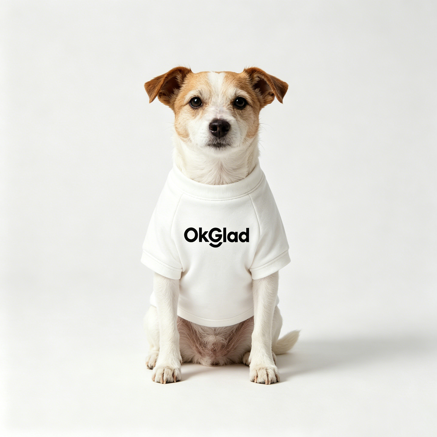 OkGlad Soft Cotton Dog T-Shirt, Breathable Stretchy Pet Short Sleeve Clothes, Lightweight Puppy Daily Outfit for Small Medium Dogs