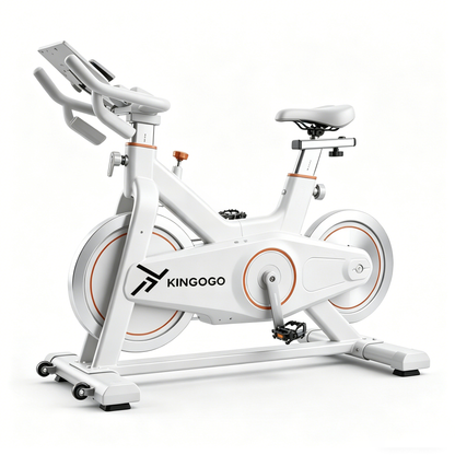 KINGOGO Stationary Exercise Bike - Indoor Cycling Bike with Magnetic Resistance, Silent Belt Drive, Comfortable Seat & LCD Monitor, Perfect for Home Gym Cardio Workout