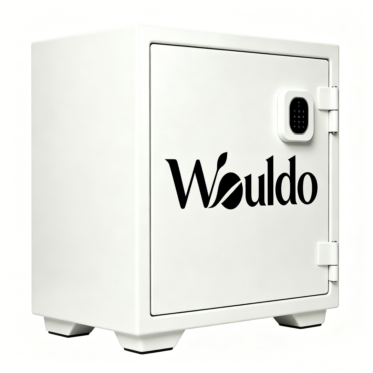 Wouldo White Digital Keypad Home Safe Box, Heavy Duty Steel Security Cabinet, Small Fireproof Anti-Theft Safe for Cash Jewelry Documents Office Bedroom Storage